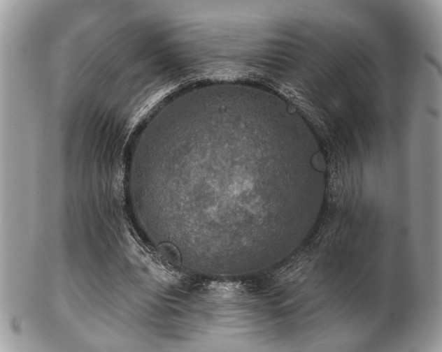 X0000102240440200807251303