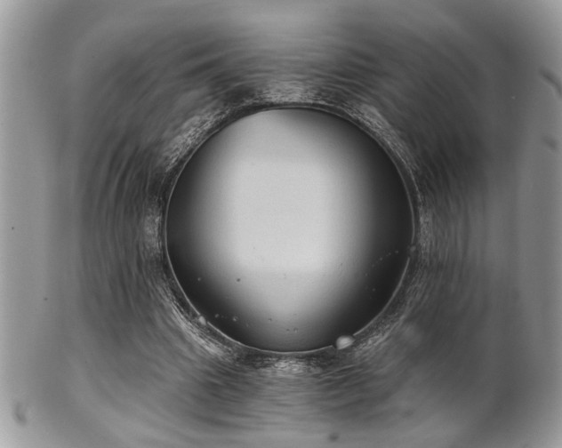 X0000102240441200807251303