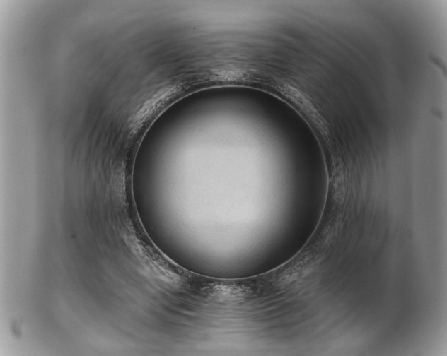 X0000102240442200807251303