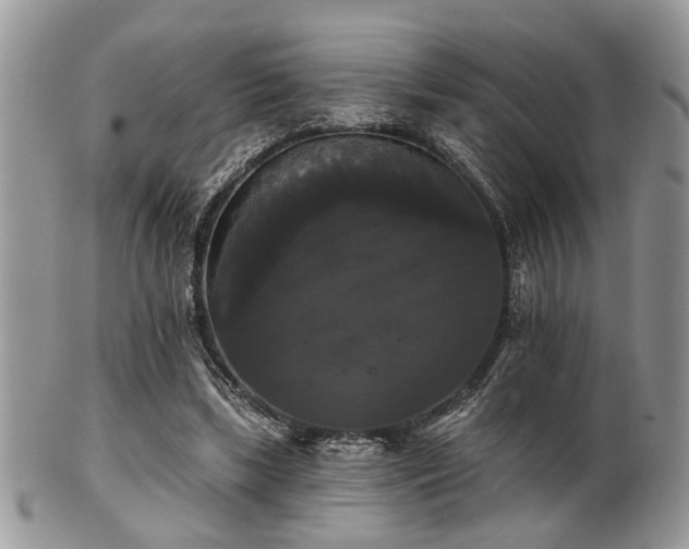 X0000102240443200807251303