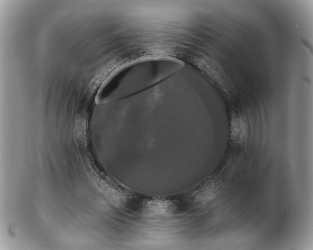 X0000102240444200807251303