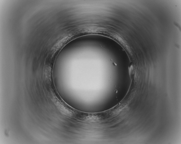 X0000102240445200807251303