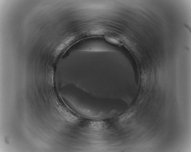 X0000102240446200807251303