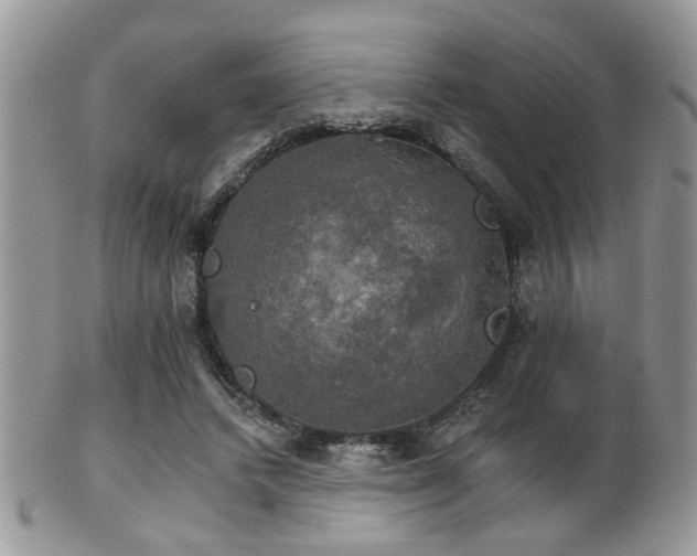 X0000102240448200807251303