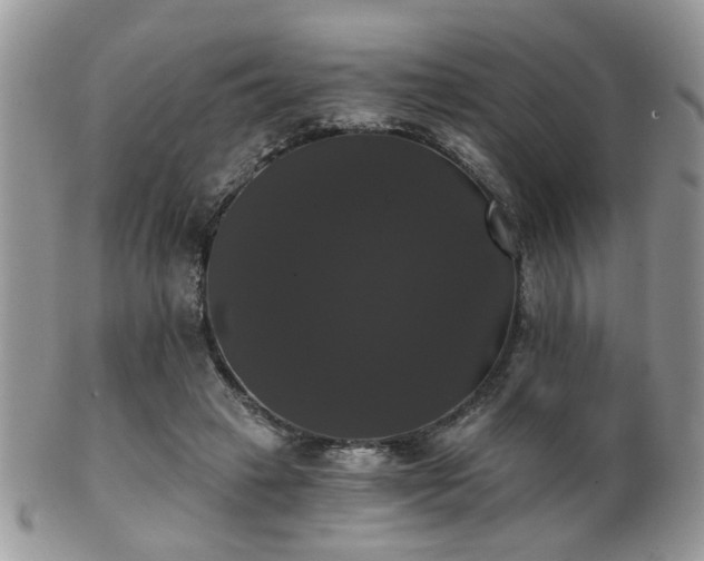 X0000102240449200807251303