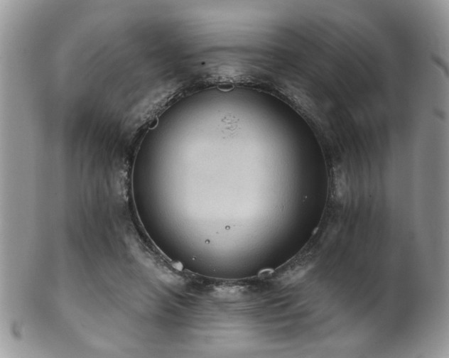 X0000102240450200807251303