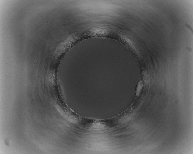 X0000102240451200807251303