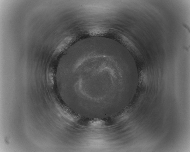 X0000102240452200807251303