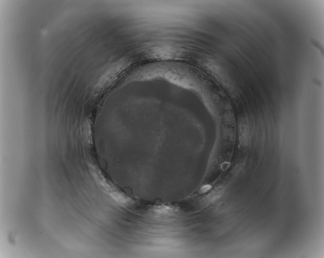 X0000102240453200807251303