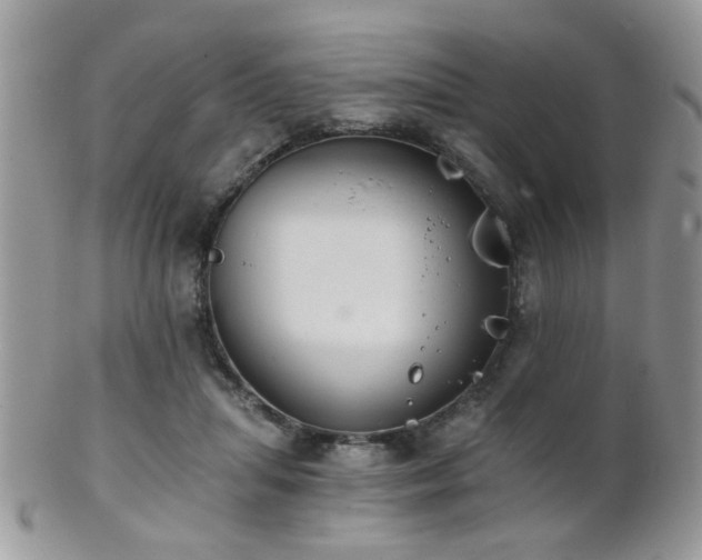 X0000102240455200807251303