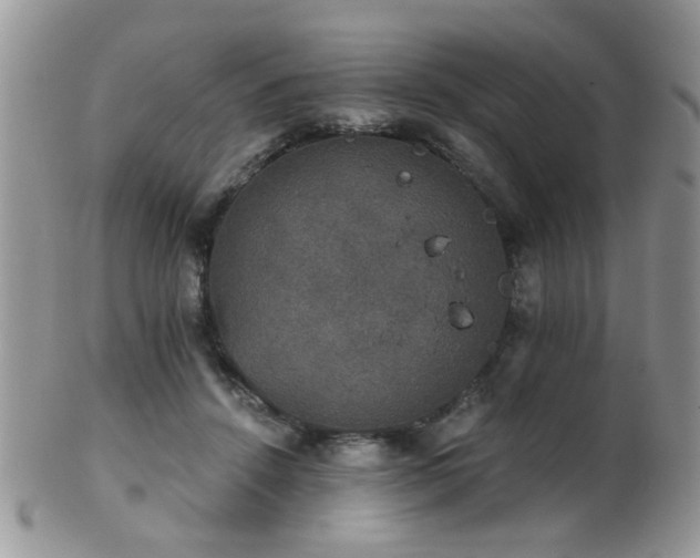 X0000102240456200807251303