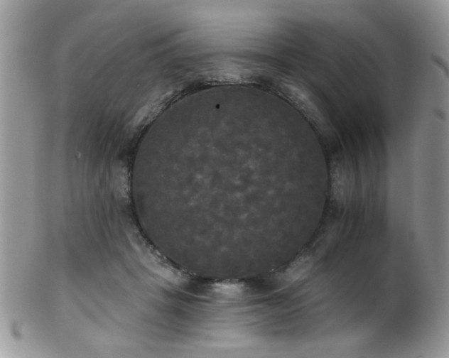 X0000102240457200807251303