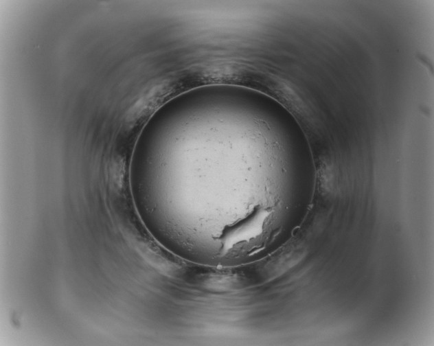 X0000102240458200807251303