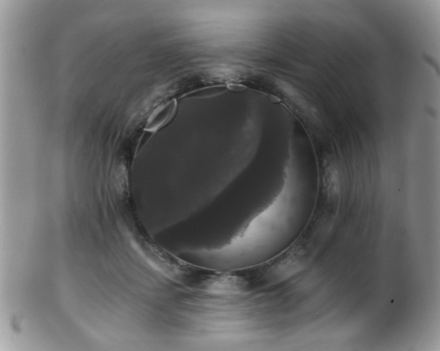 X0000102240459200807251303