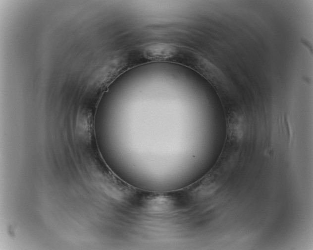 X0000102240460200807251303