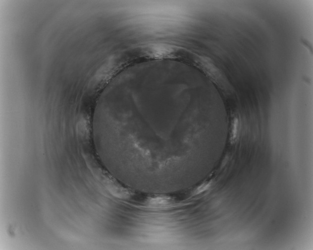 X0000102240461200807251303