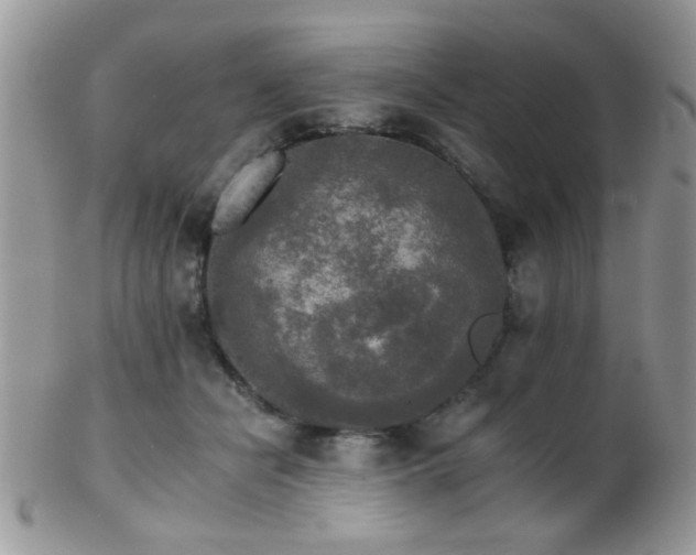 X0000102240462200807251303