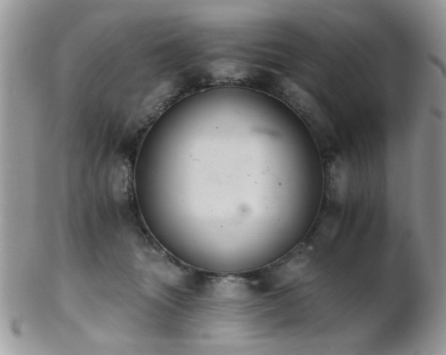 X0000102240463200807251303