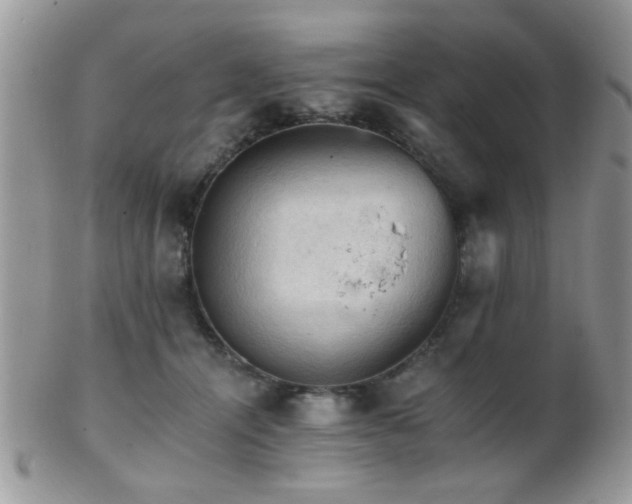 X0000102240464200807251303