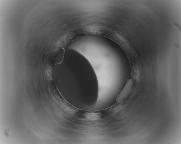 X0000102240465200807251303