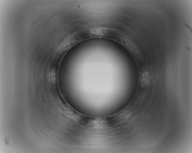 X0000102240466200807251303