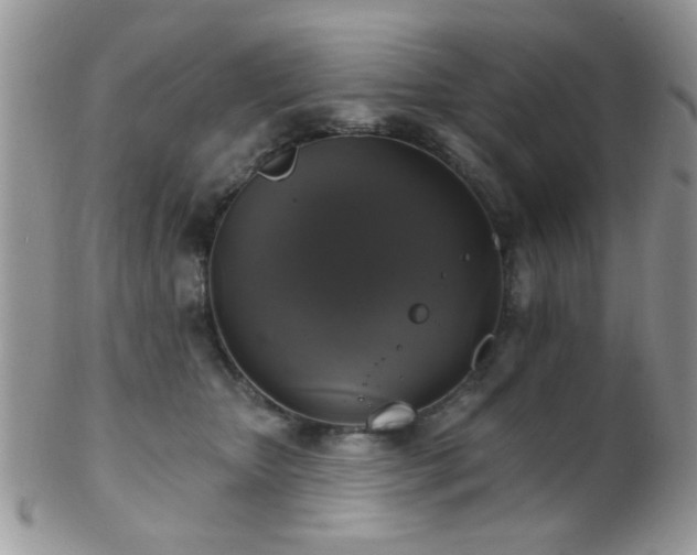 X0000102240467200807251303