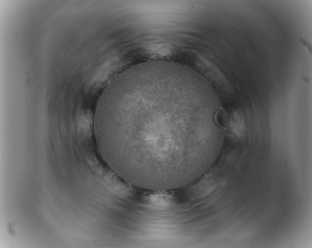 X0000102240468200807251303