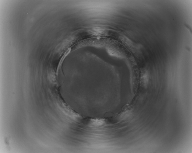 X0000102240469200807251303