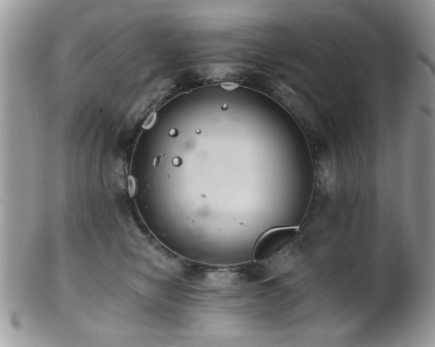 X0000102240470200807251303