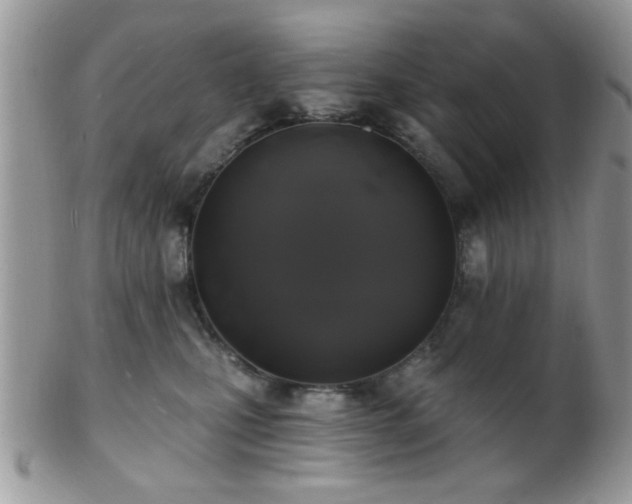 X0000102240471200807251303