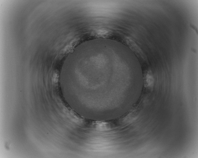 X0000102240472200807251303