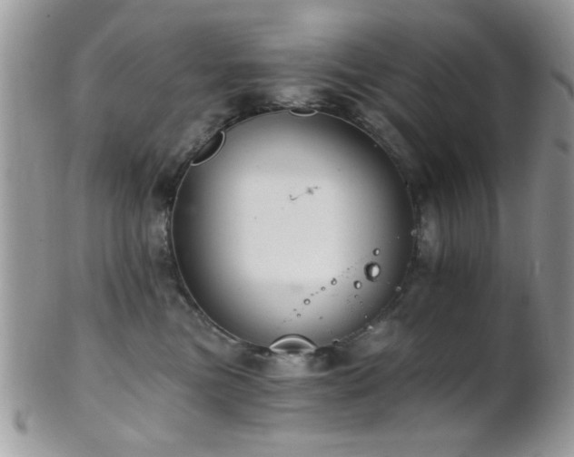 X0000102240473200807251303