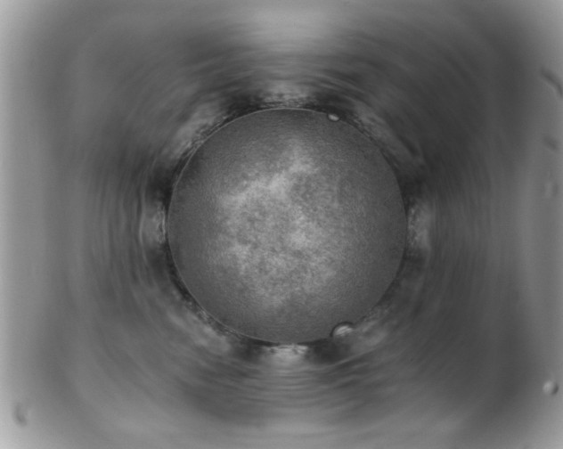 X0000102240474200807251304