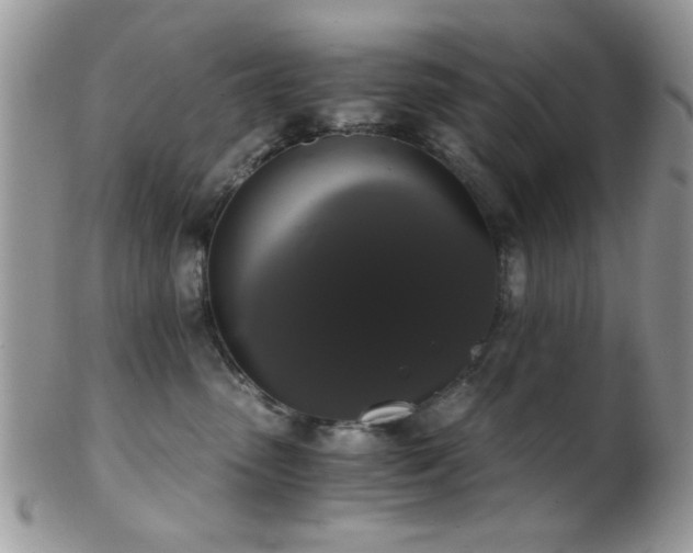 X0000102240475200807251304