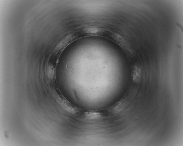 X0000102240476200807251304