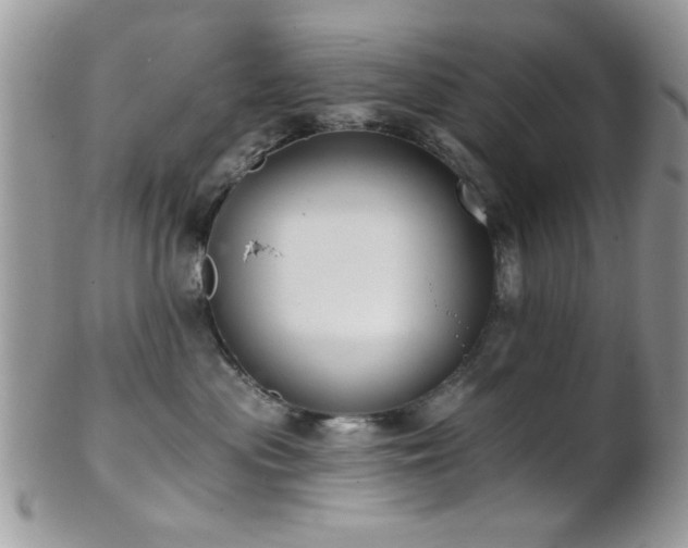 X0000102240477200807251304