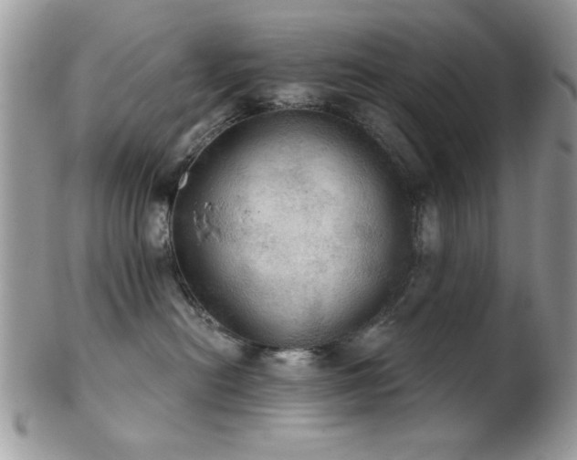 X0000102240478200807251304