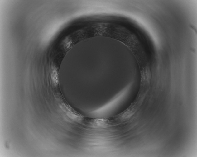 X0000102240479200807251304