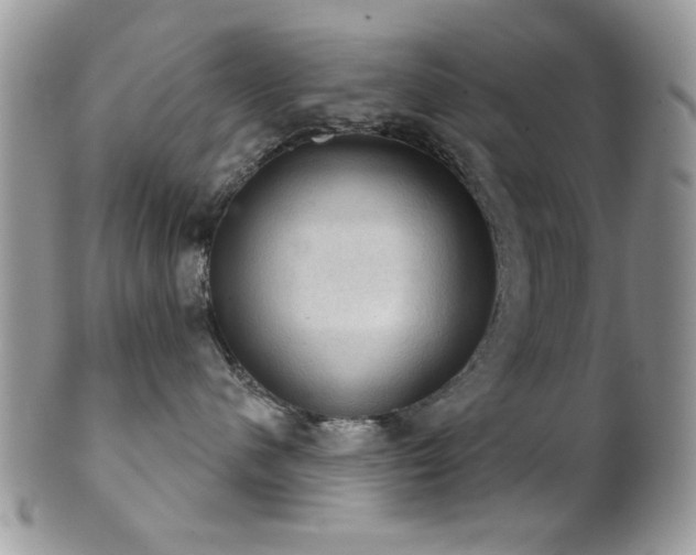 X0000102240480200807251304