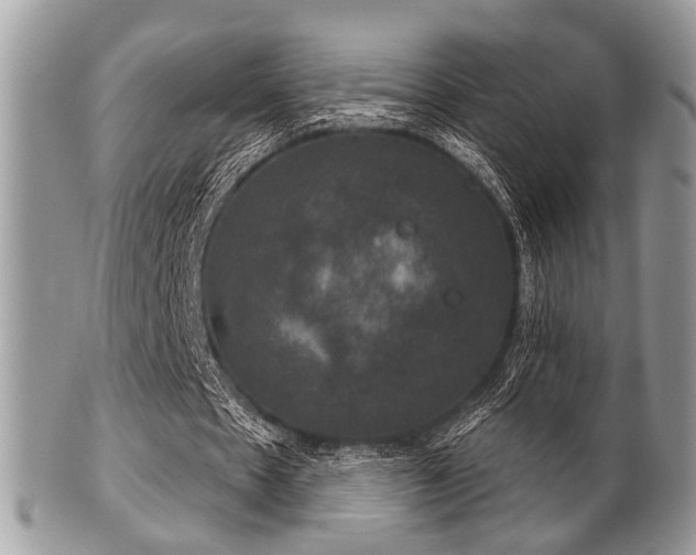 X0000102240481200807251303