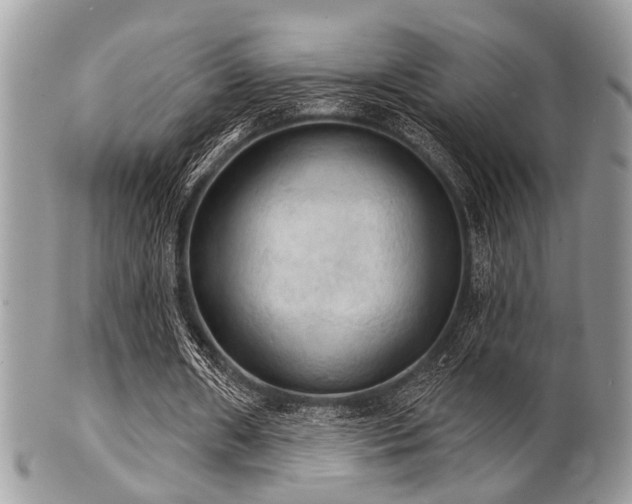 X0000102240482200807251303