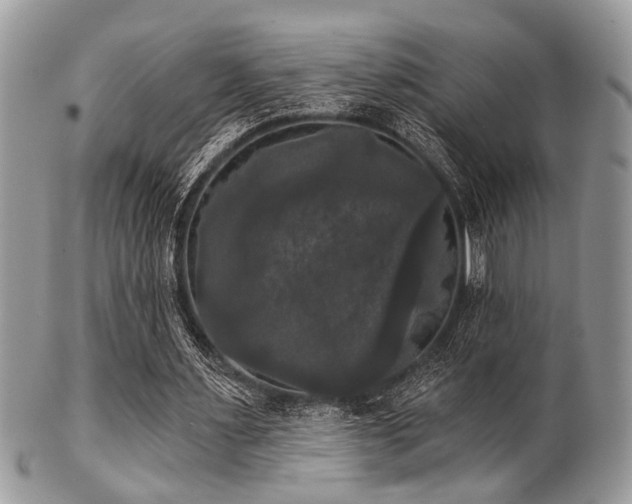 X0000102240483200807251303