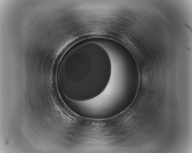 X0000102240484200807251303