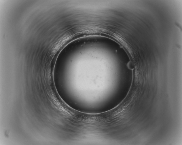 X0000102240485200807251303