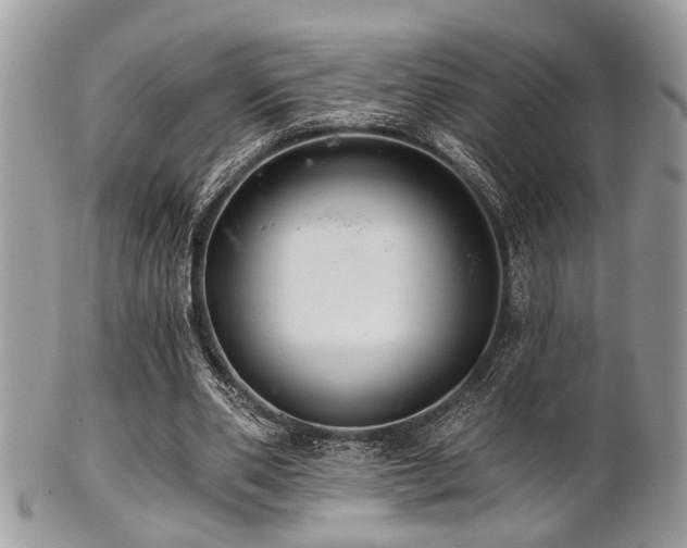 X0000102240486200807251303