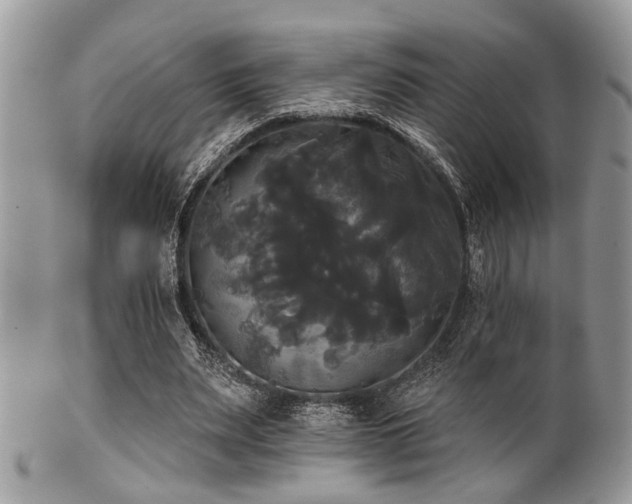 X0000102240487200807251303