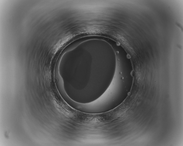 X0000102240488200807251303