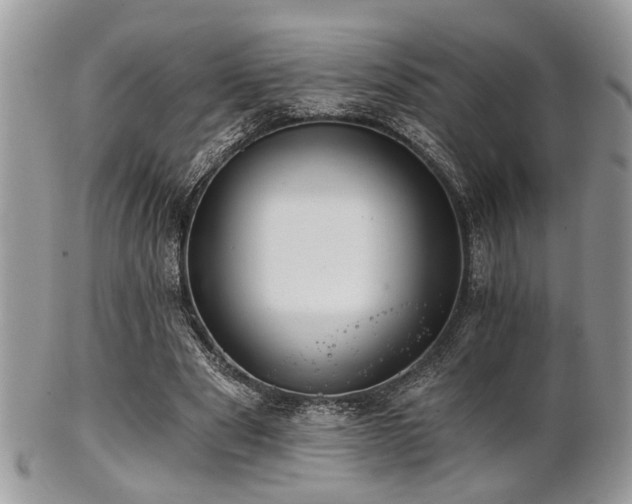 X0000102240489200807251303