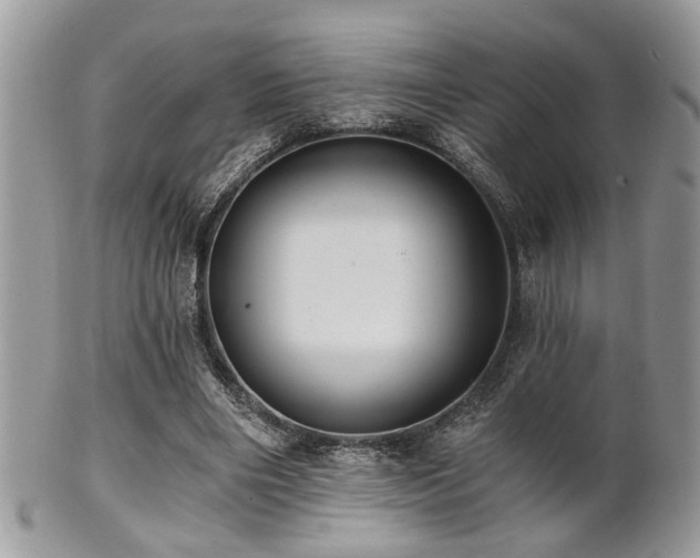 X0000102240490200807251303