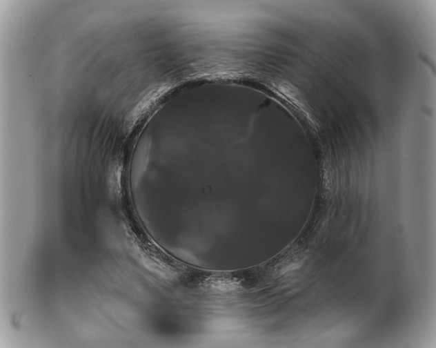 X0000102240491200807251303